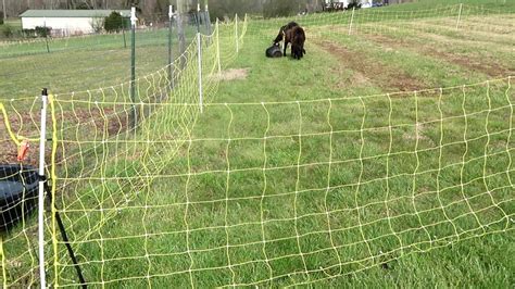 Premier one fencing - ElectroNet® (Standard, Plus & Pro) 9/35/12 Electric Netting. When properly energized, 35" tall ElectroNet® is a nearly impenetrable mesh to sheep, goats, coyotes and dogs. Because it’s so easy to install and remove, …